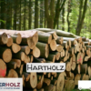 Stammholz Hartholz Laubholz – LKW-Ladung Rundholz, Durchmesser 30–33 cm, Länge 4–6 m