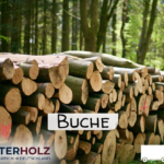 Stammholz Buche – LKW-Ladung Rundholz, Durchmesser 30–33 cm, Länge 4–6 m