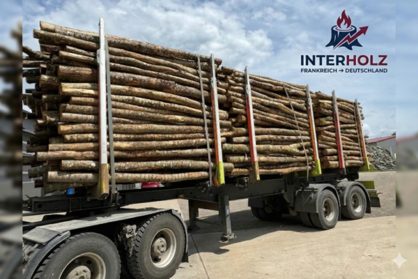 Stammholz Aktionssortiment Buche Esche – LKW-Ladung Rundholz ab Forst