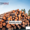 Stammholz Nadelholz – LKW-Ladung Rundholz, Durchmesser 30–33 cm, Länge 4–6 m