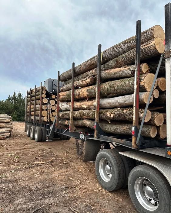 INTER HOLZ Logistik